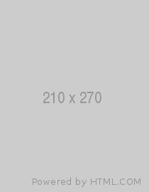 Electronics & Computer