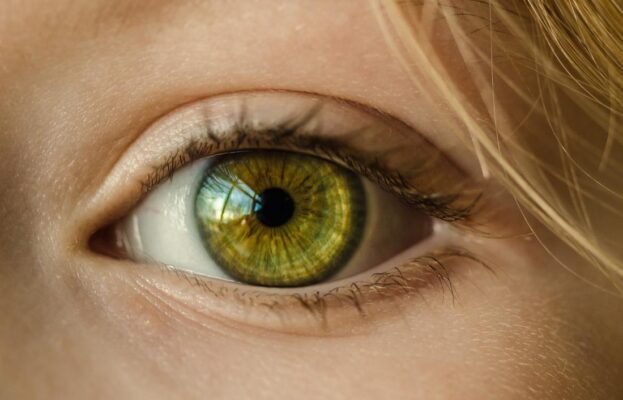 eye care