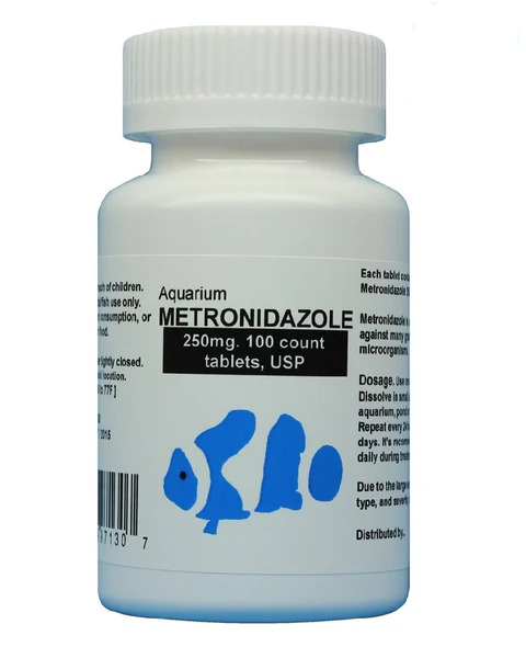 aquarium-metronidazole