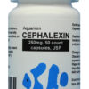 fish-cephalexin