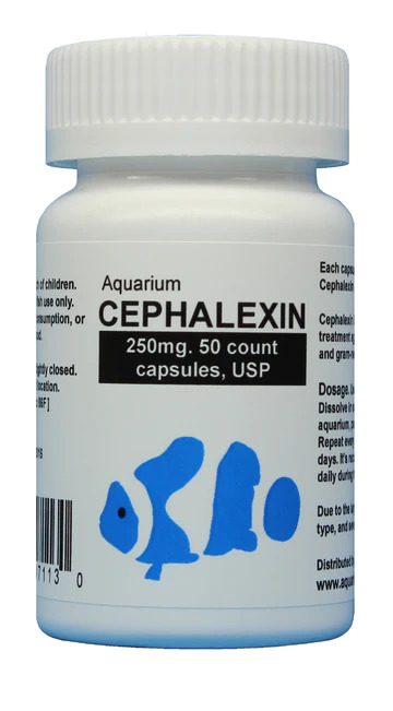 fish-cephalexin