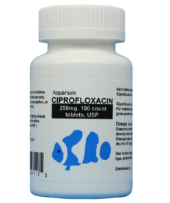 fish-ciprofloxacin-250mg
