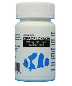 fish-ciprofloxacin-750mg