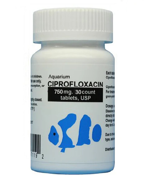fish-ciprofloxacin-750mg