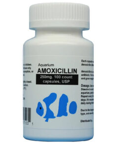 fish-mox-250mg