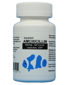 fish-mox-500mg