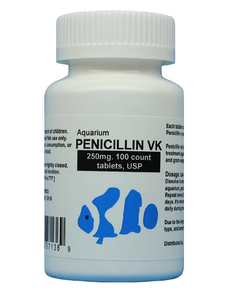 fish-penicillin