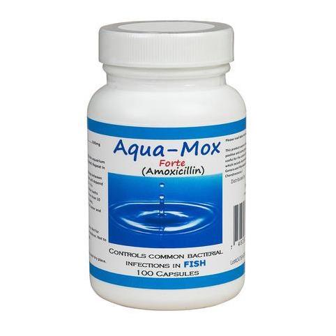 fishbiotic amoxicillin
