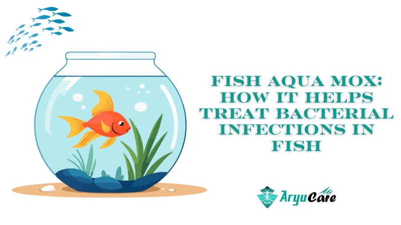 Aquarium Fish