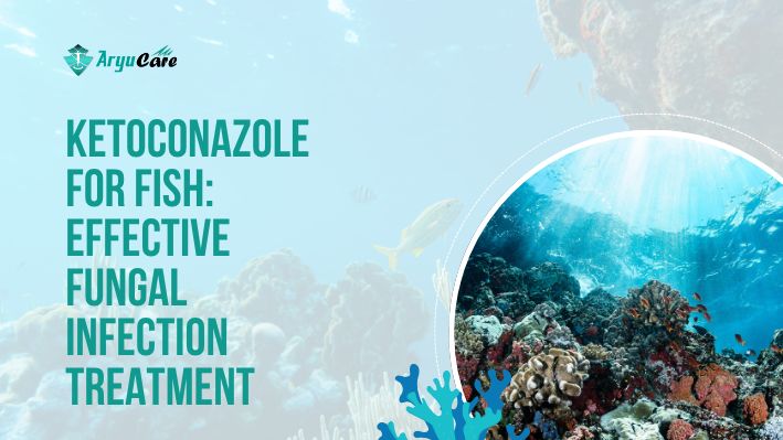 Ketoconazole for Fish Effective Fungal Infection Treatment